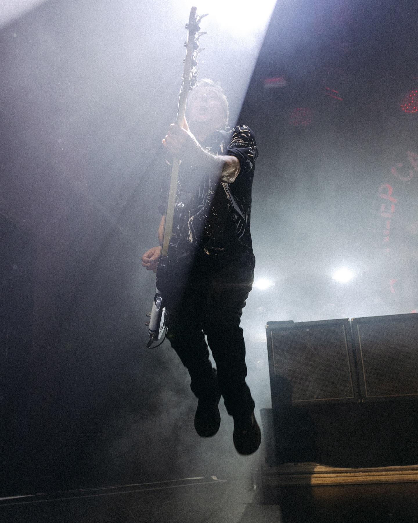 Die Toten Hosen